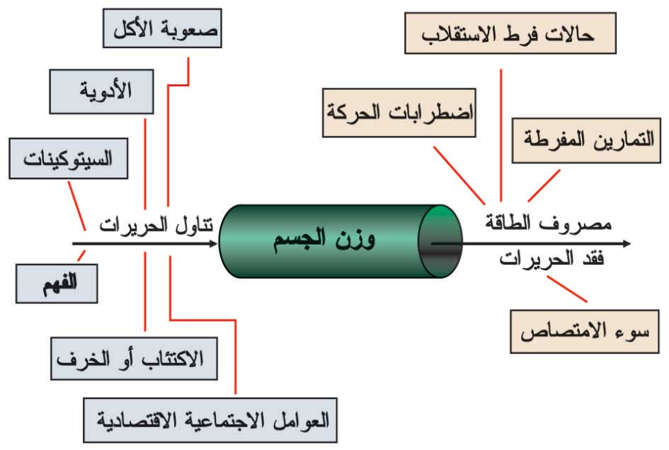 توازن الطاقة والفيزيولوجية المرضية لفقد الوزن