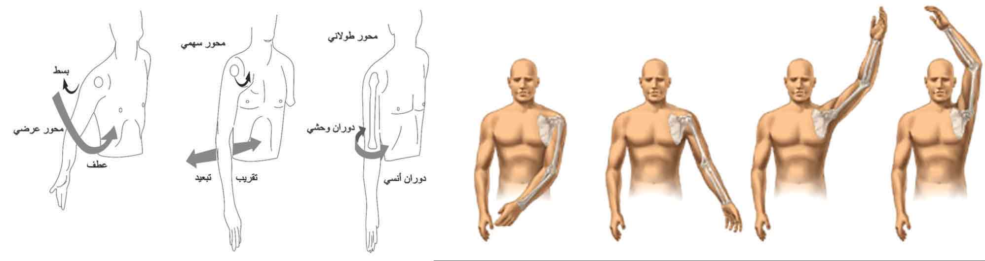 الوصف: D:\المجلد 15\صور\صور\626\1.jpg