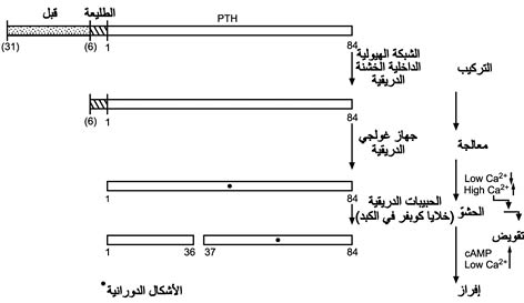 الوصف: الوصف: D:\d\المجلد الثاني للتقانة اخراج\بوك 2 تقانة\324\37-2_fmt.jpeg