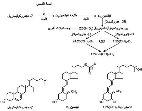 الوصف: الوصف: D:\d\المجلد الثاني للتقانة اخراج\بوك 2 تقانة\324\37-3_fmt.jpeg