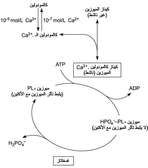 الوصف: الوصف: D:\d\المجلد الثاني للتقانة اخراج\بوك 2 تقانة\324\37-7_fmt.jpeg